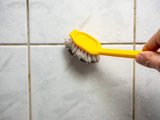 Best Mold Removal Near Me  in Houghton Lake, MI
