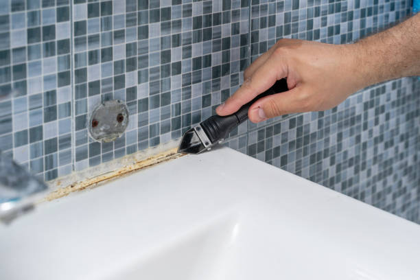 Professional Mold Removal in Houghton Lake, MI