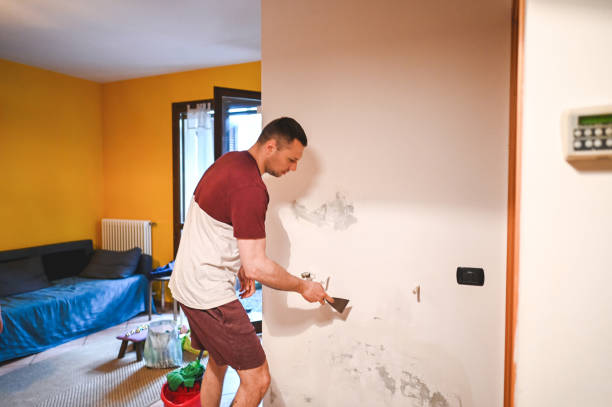 Best Certified Mold Removal  in Houghton Lake, MI